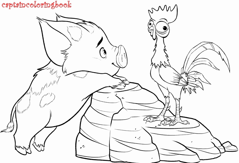 786x537 Coloring Pages Moana Gallery Coloring Page Disney Moana Coloring