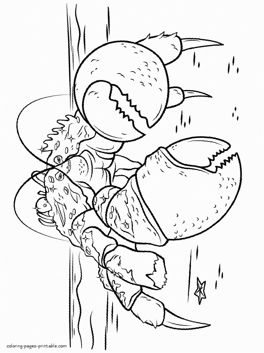 895x1197 Free Coloring Pages Of Coconuts Fresh Printable Moana