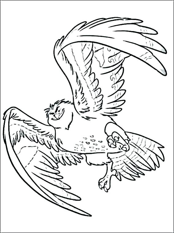 568x758 Free Moana Coloring Pages And Free Coloring Pages Images Coloring