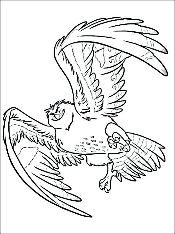 568x758 Moana Coloring Pages Printable Or Coloring Page To Print Free