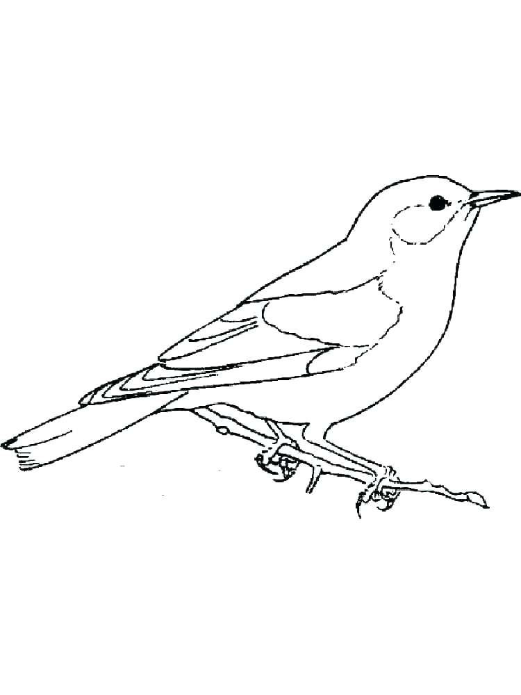 750x1000 Mockingbird Coloring Page Coloring Pages For Kids Cars Realistic