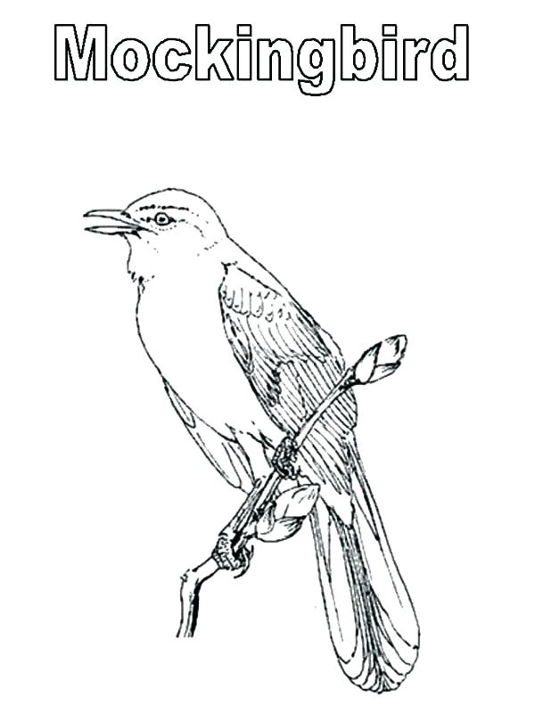 600x800 Texas Tech Coloring Pages Mockingbird Coloring Page M Is