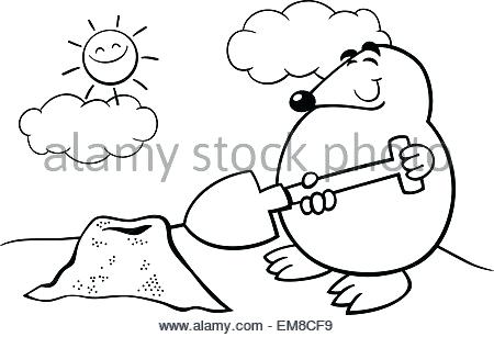 450x307 Mole Coloring Page Cartoon Animals For Coloring Book A Mole