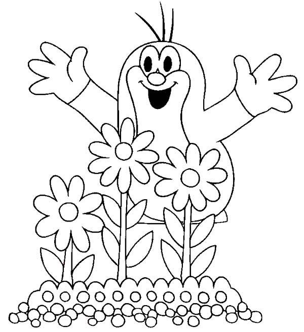 600x655 Mole Plant Beautiful Flowers Coloring Pages Batch Coloring
