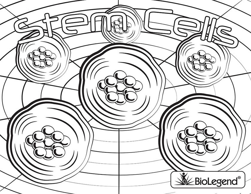 838x647 Biolegend Legendary Coloring Book