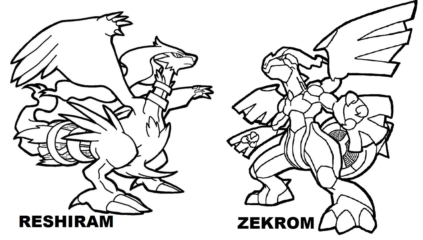 1600x908 Modern Decoration Legendary Pokemon Coloring Pages Pokemon