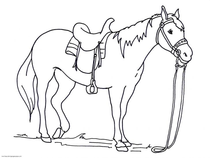 728x546 Baby Horse Running With His Mother In Horses Coloring Page Pages