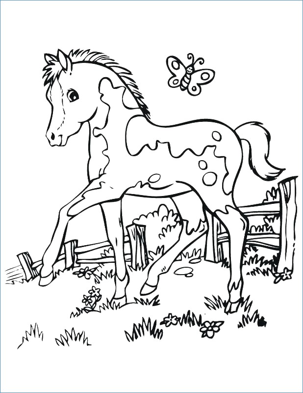 618x800 Coloring Page Of Mom And Baby Horse