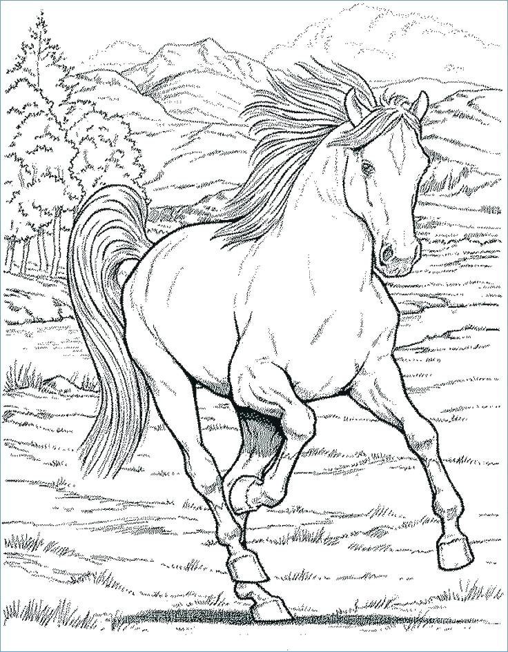736x945 Coloring Page Of Mom And Baby Horse Coloring Page Horse Free