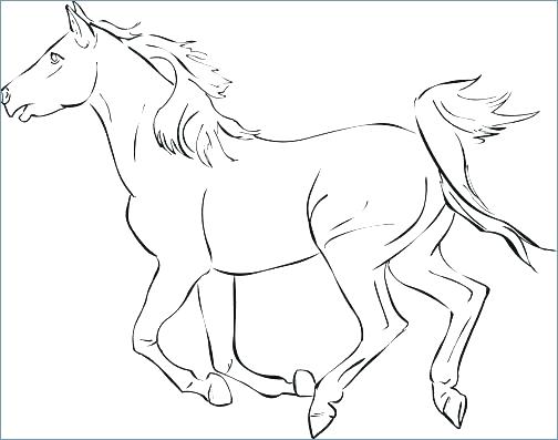 504x397 Coloring Page Of Mom And Baby Horse Free Pages Horses