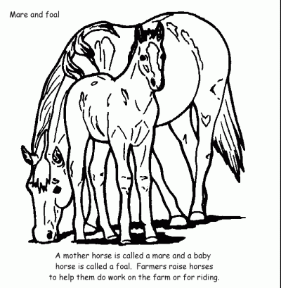 400x409 Farm Animal Coloring Pages
