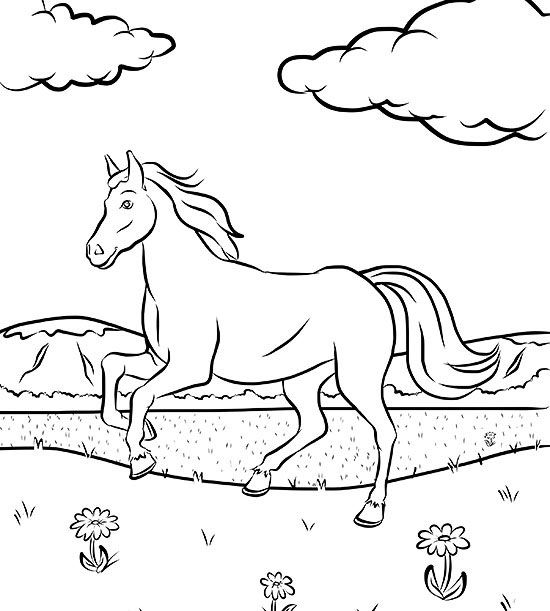 550x611 Free Horse Coloring Page