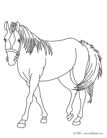 364x470 Horse Color Page Animal Mom And Baby Horse Coloring Pages