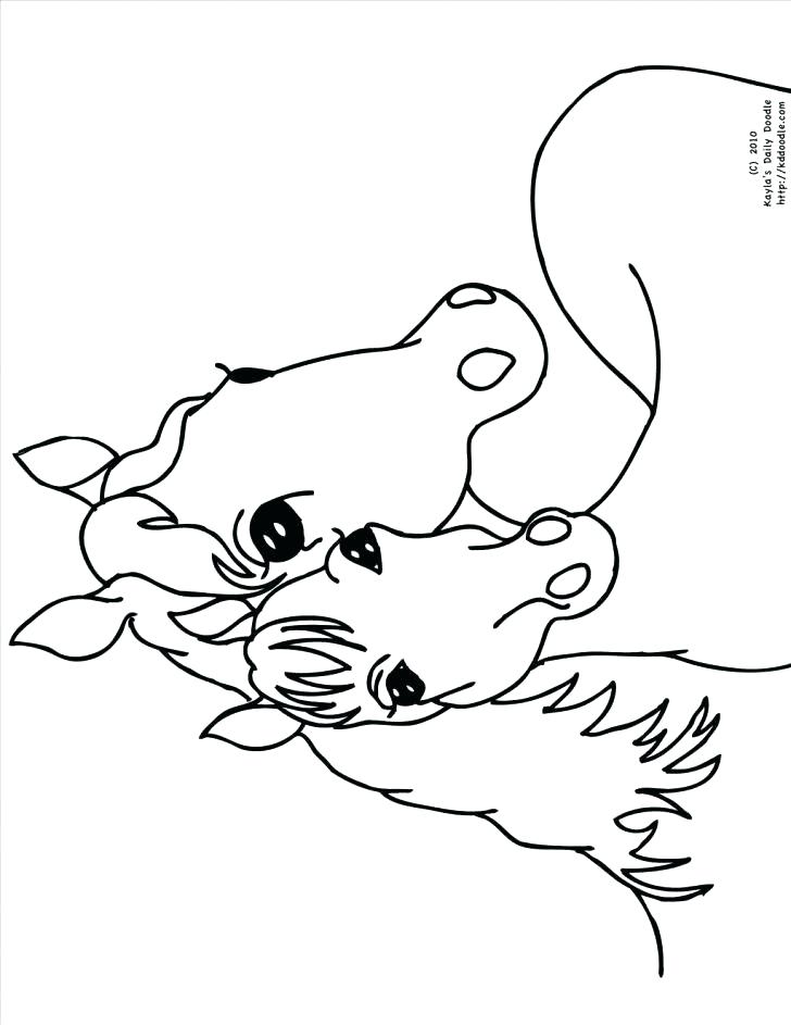 728x943 Baby Horse Coloring Pages Daily Coloring Pages Incredible Baby