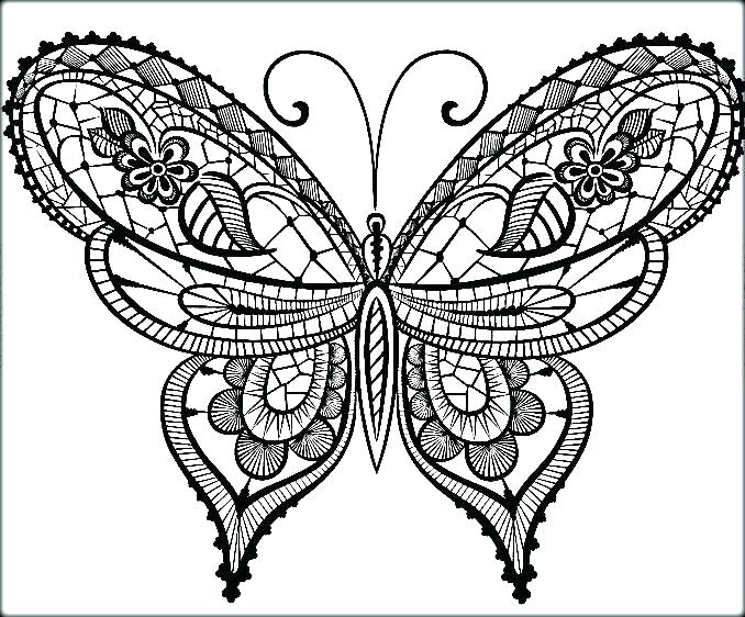 678x562 Color Page Butterfly Coloring Page Of Butterfly Coloring Page