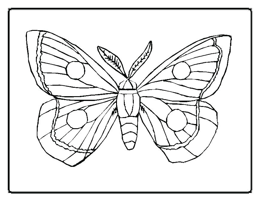 869x671 Coloring Pages Of Butterflies