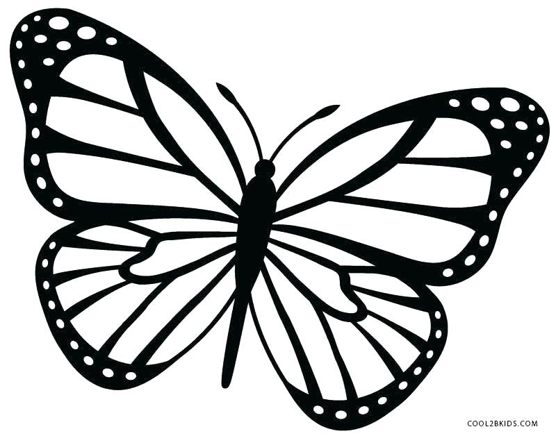 800x628 Free Printable Coloring Pages Life Cycle Butterfly For Kids View