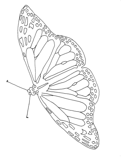 465x640 Great Monarch Activities For Kids!