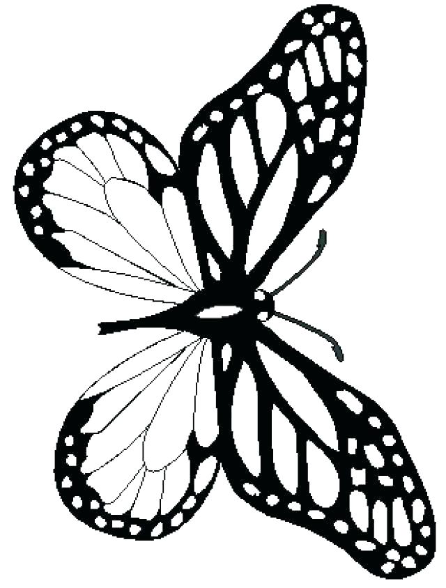 640x844 Monarch Butterfly Coloring Page Butterfly Coloring Book Free