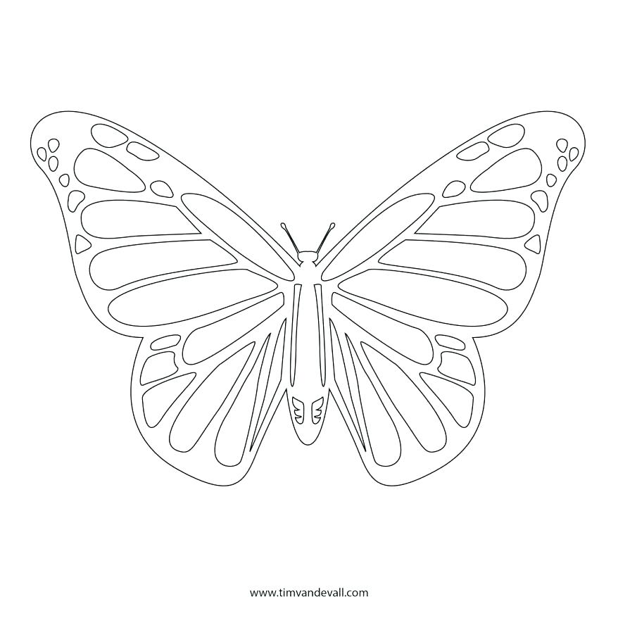 878x878 Monarch Butterfly Coloring Page In Addition To Butterfly Coloring