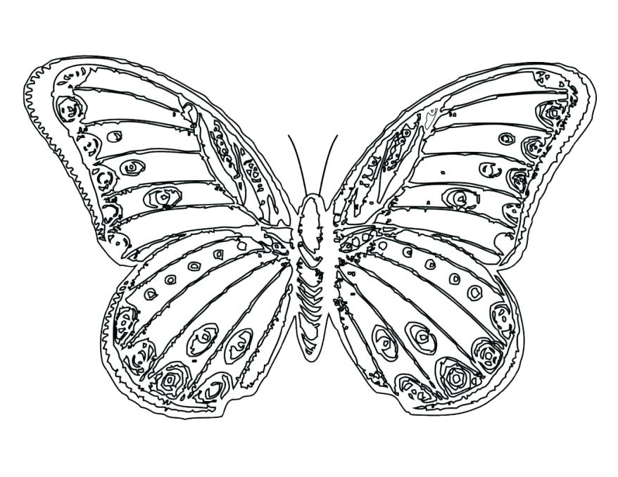 878x678 Wonderful Monarch Coloring Page Coloring Full Size Of Pictures