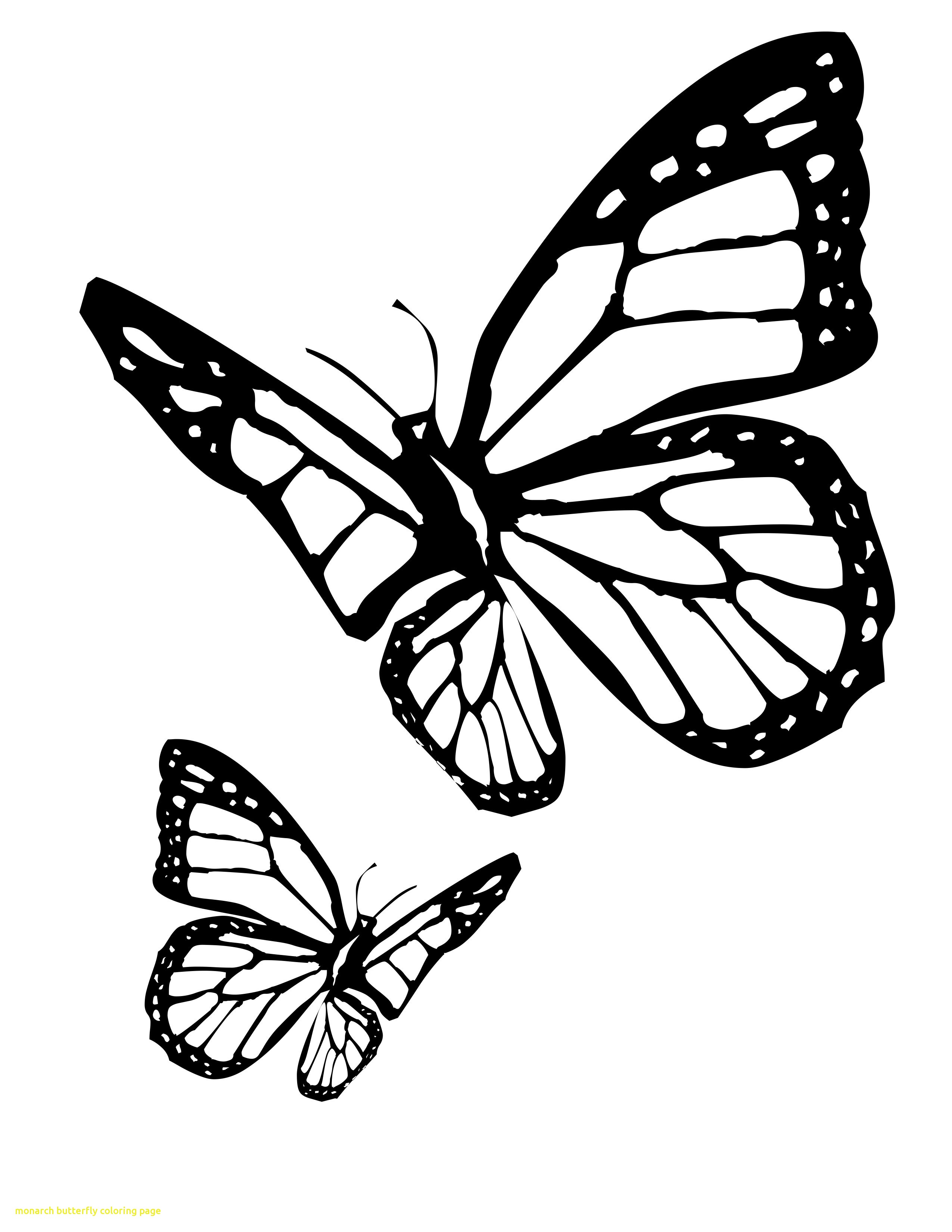 2550x3300 Monarch Butterfly Coloring Page With Butterfly Coloring Page