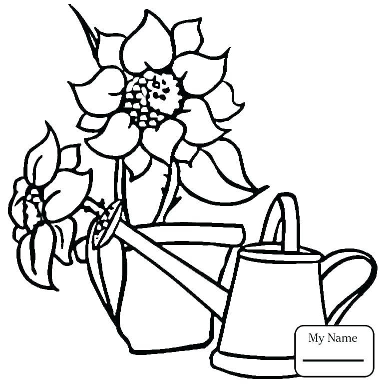 765x770 Monet Coloring Pages