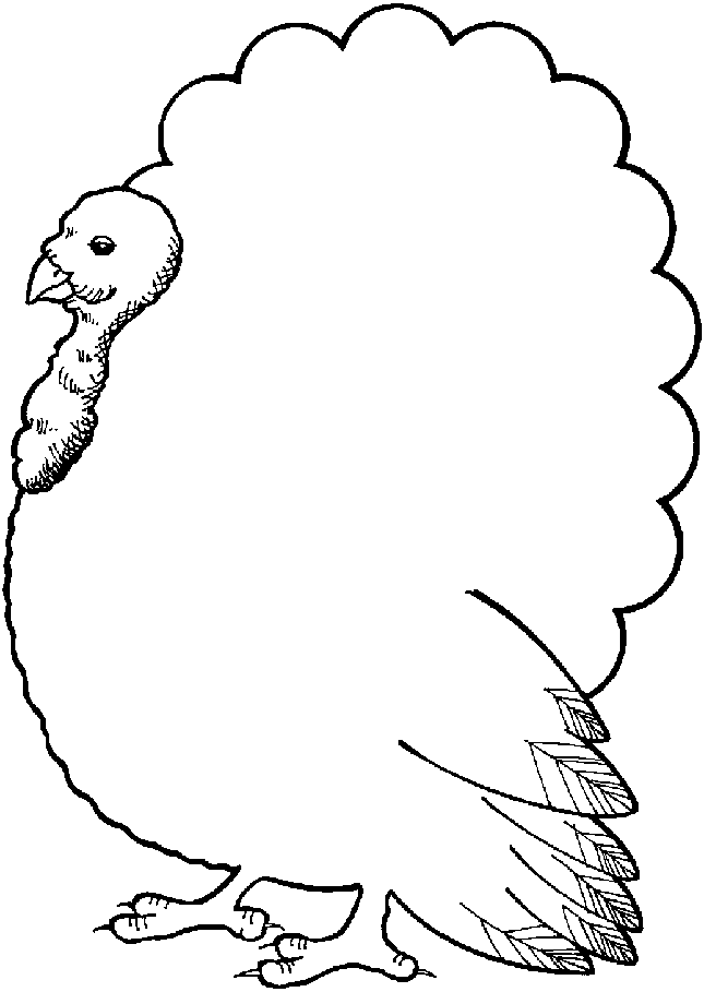 645x909 Monferno Coloring Pages