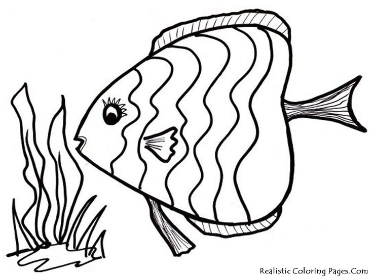 736x552 Best Coloring Pages Images On Coloring Sheets