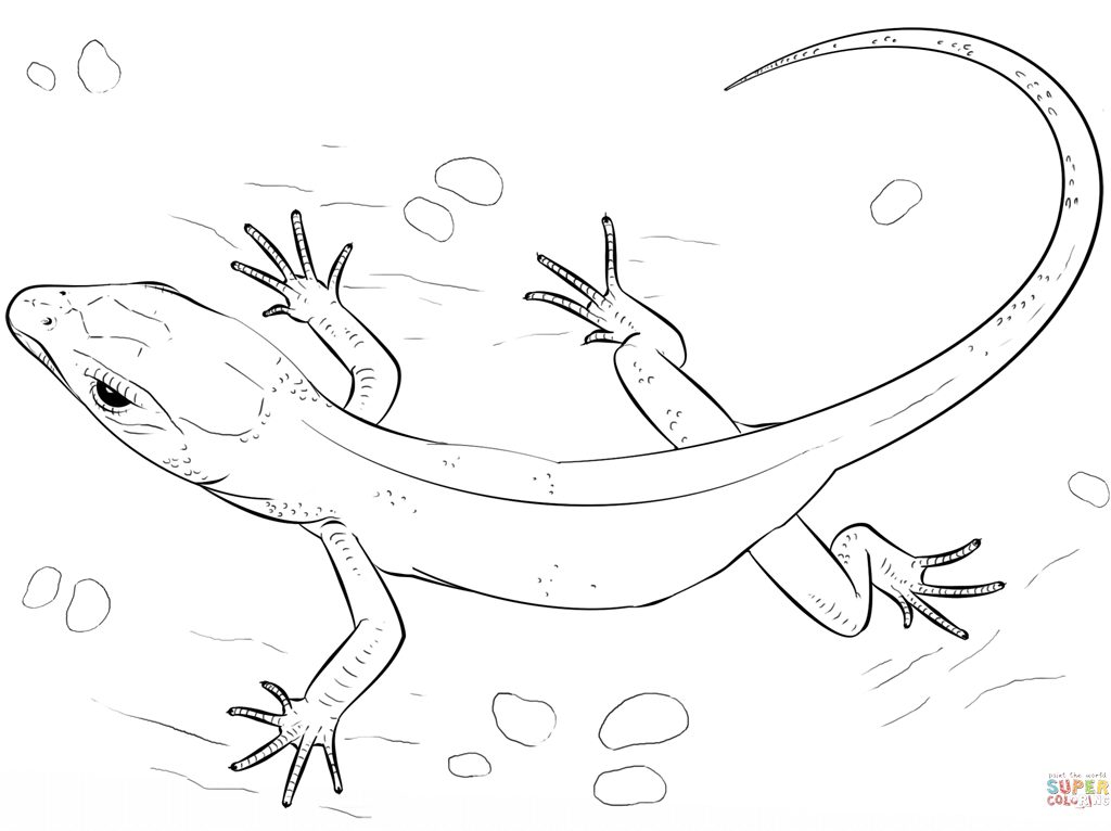 1024x766 Easy Lizard Coloringages Spiderman And Green Baby Frilled Man