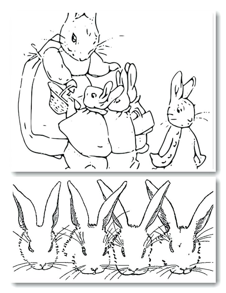 728x942 New Peter Rabbit Coloring Pages Printable Coloring Peter Rabbit