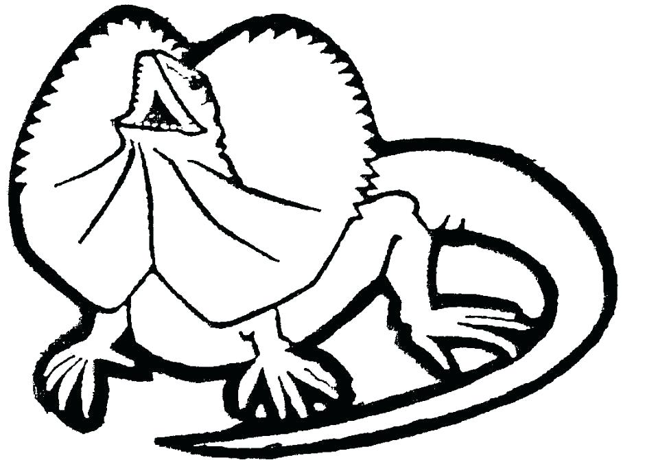 Coloring Lizards Printable Coloring Pages