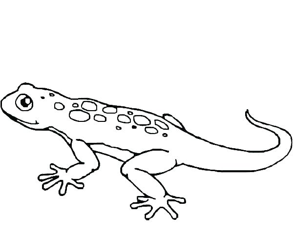 600x480 Spiderman The Lizard Coloring Pages Vanda