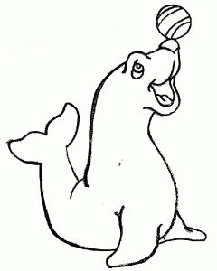 240x300 Best Monk Seal Colouring Pages Images On Children