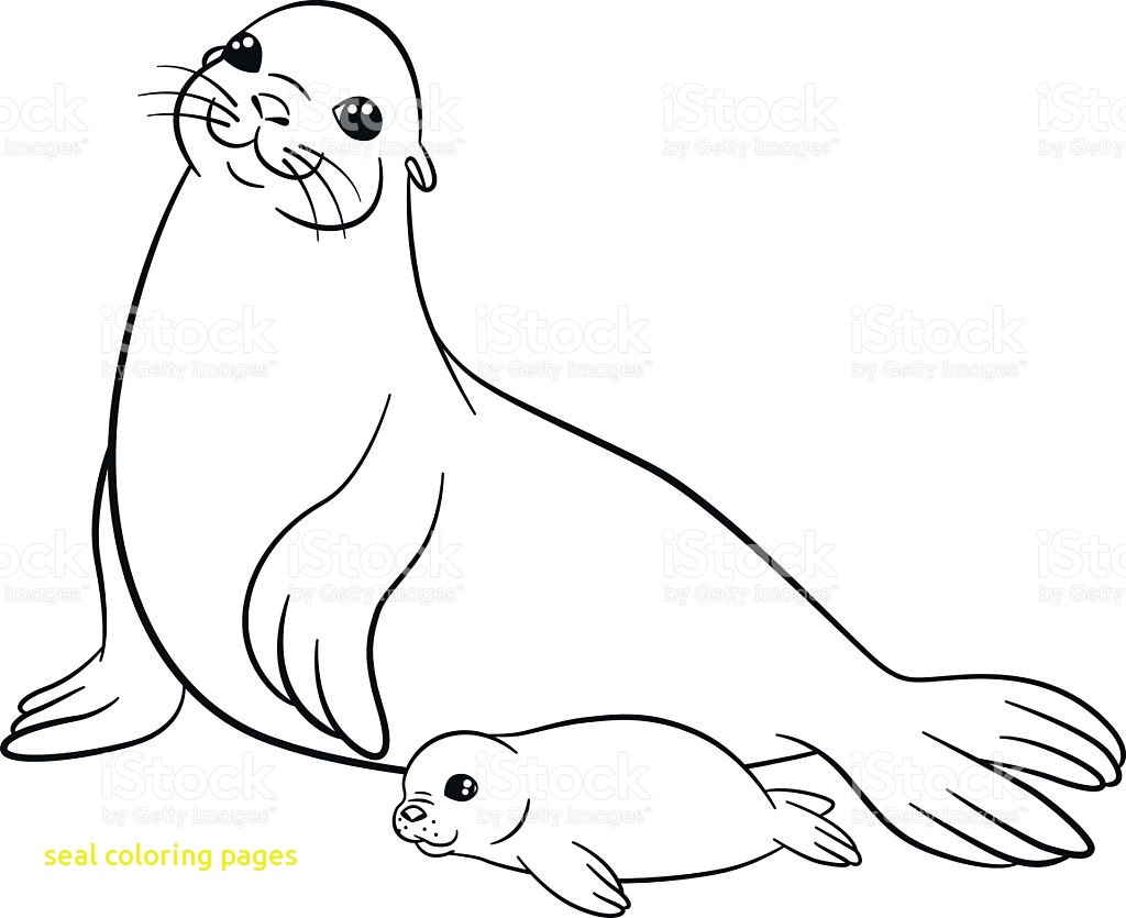 1024x835 Seal Coloring Pages With Monk Seal Colouring Pages For Kids