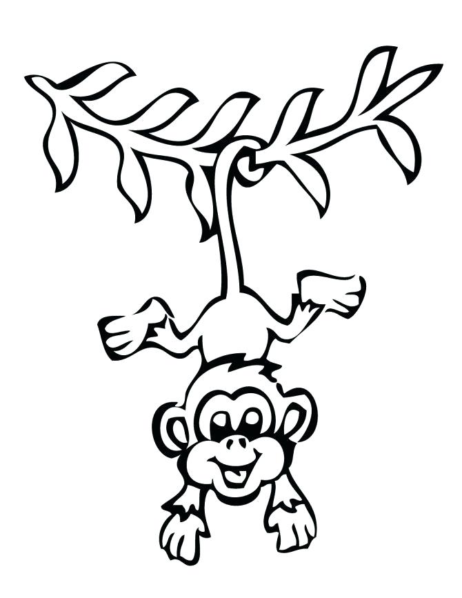 670x867 Free Online Monkey Coloring Pages Kids Coloring Monkey Coloring