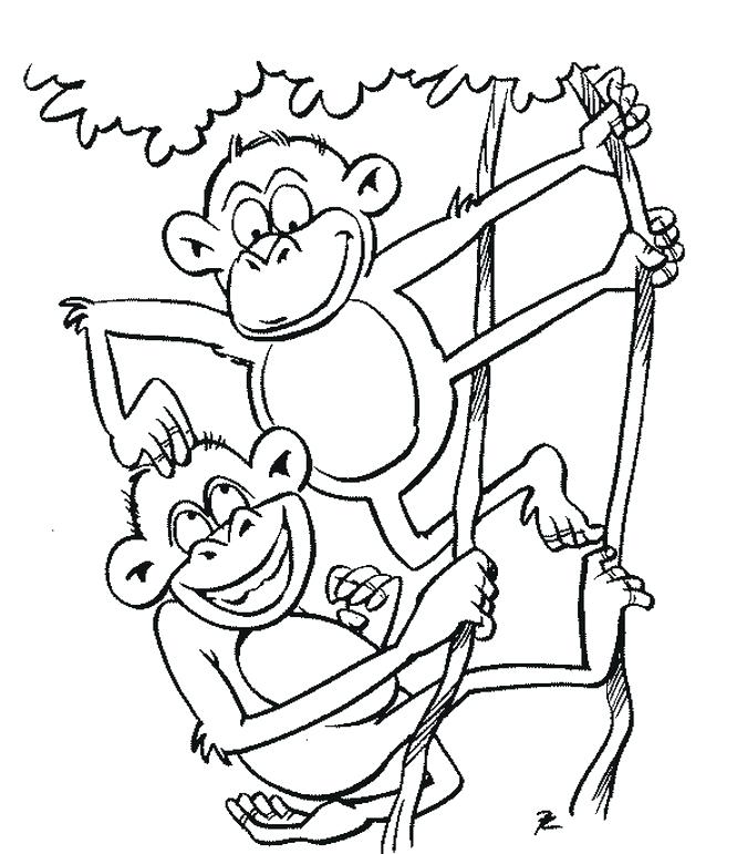 675x771 Free Printable Monkey Color Pages Printable Coloring Coloring