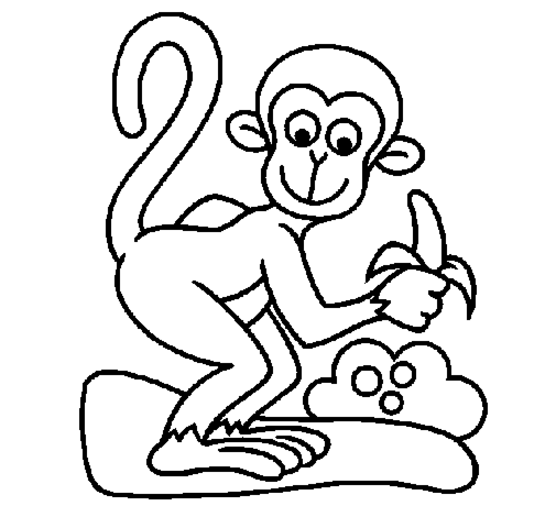 556x517 Monkey Coloring Monkey Coloring Pages Monkey Coloring Page Free