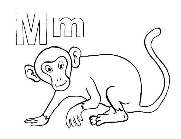 600x462 Cute Monkey Face Coloring Pages Kids Coloring Monkeys Coloring