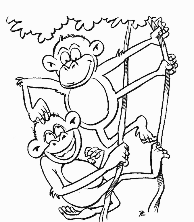 675x771 Impressive Decoration Monkey Coloring Page Monkey Coloring Sheets