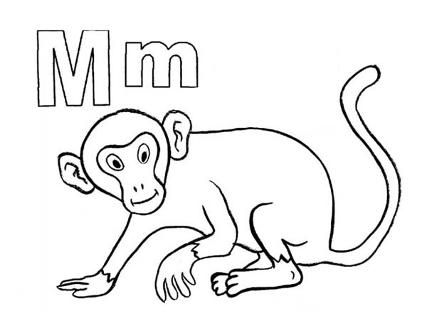 Monkey Head Coloring Page at GetDrawings | Free download