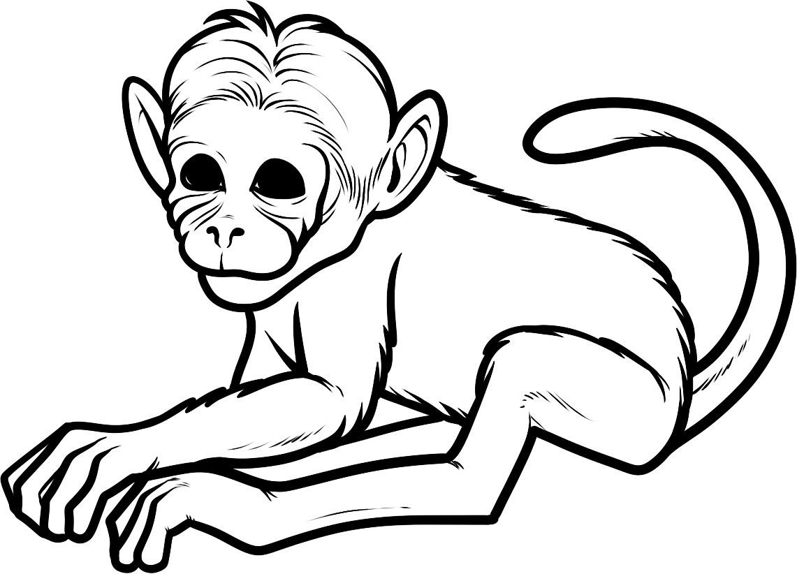 1141x822 Free Printable Monkey Coloring Pages For Kids