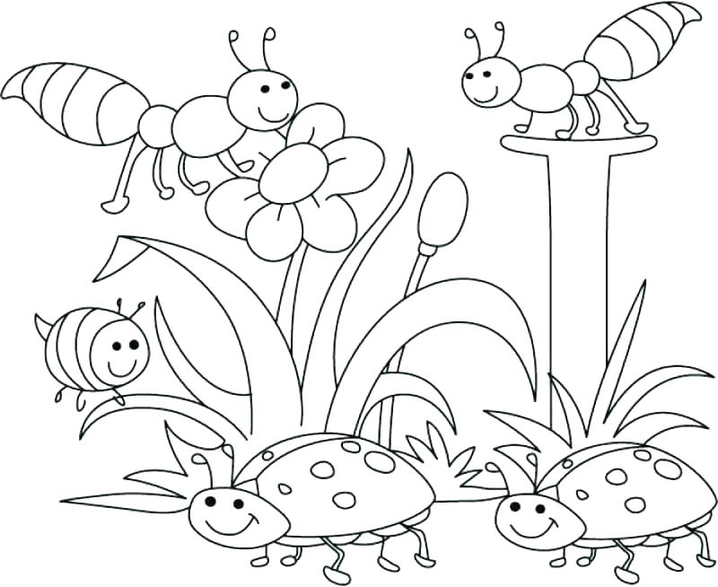 800x654 Fnaf Coloring Pages Printable H Coloring Pages Instant Download
