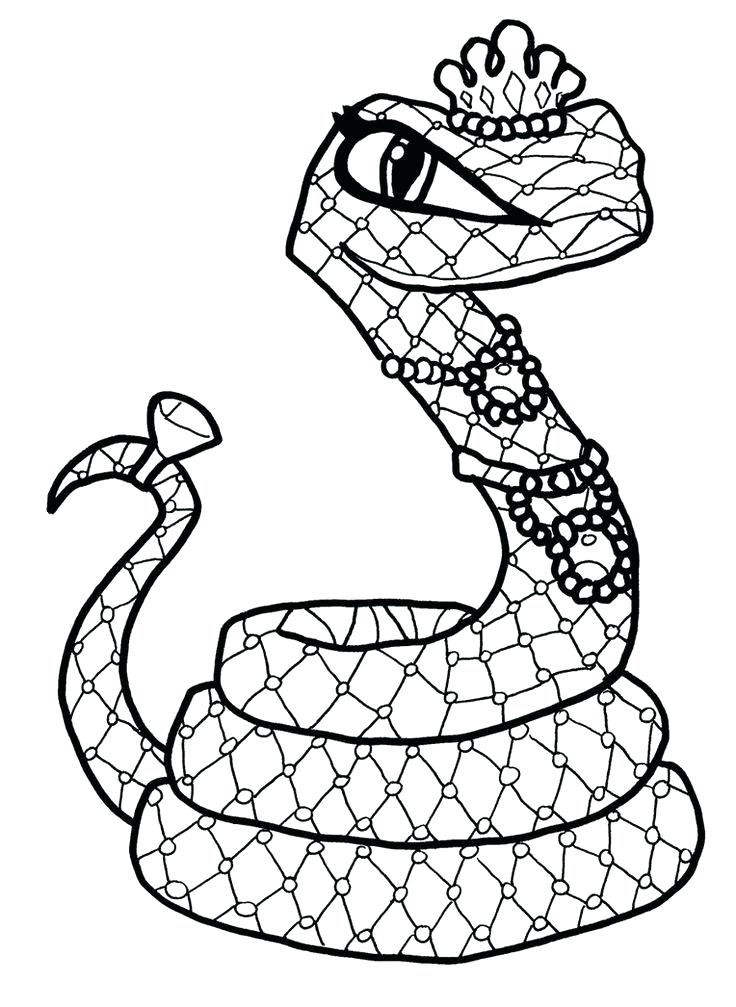 736x1007 Snake Coloring Pages