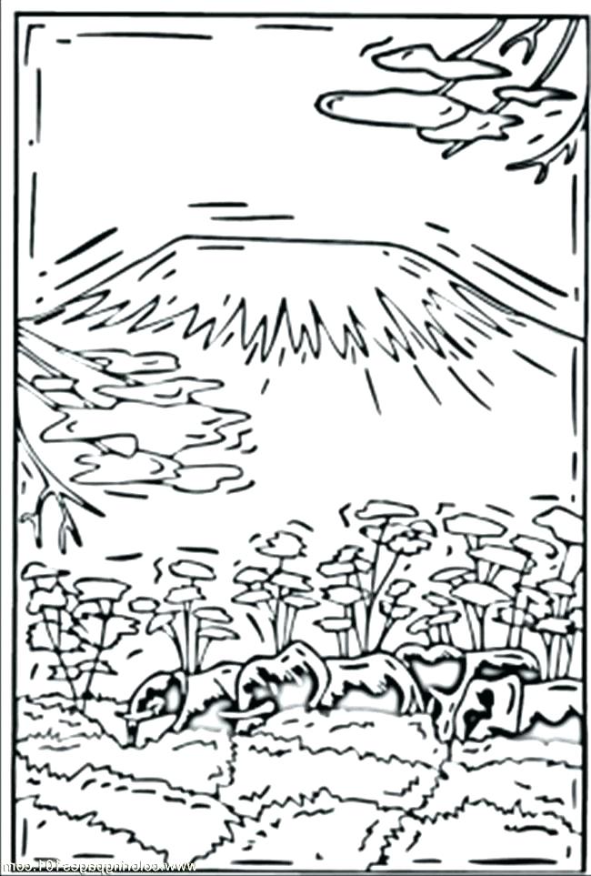 650x963 Montana State Coloring Pages Vanda