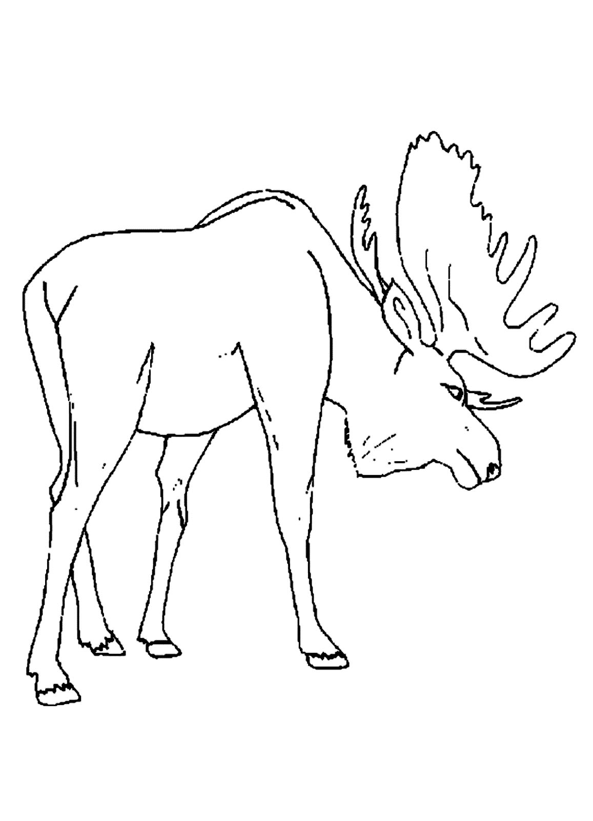 1157x1602 Printable Moose Coloring Pages Coloring Me