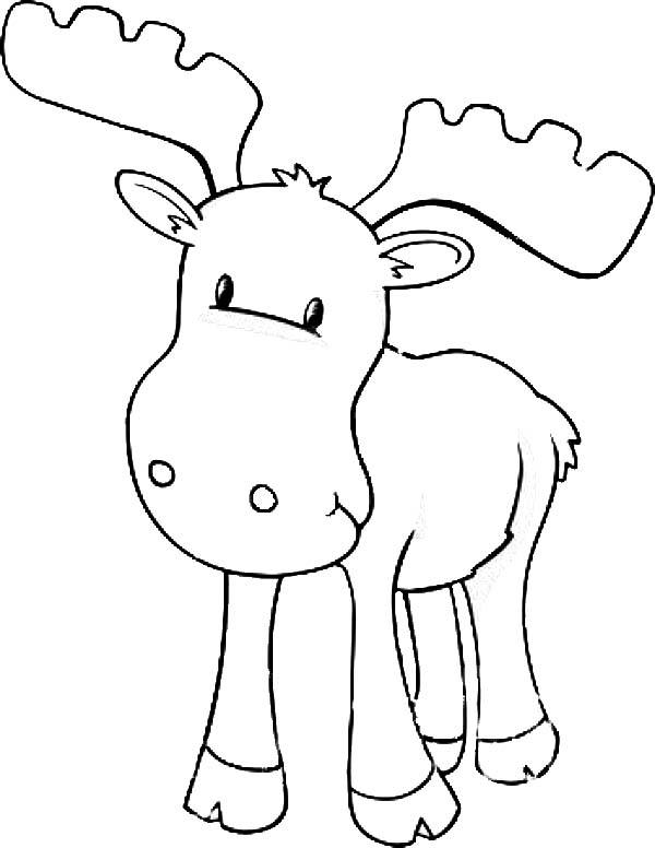 600x776 Moose Coloring Pages