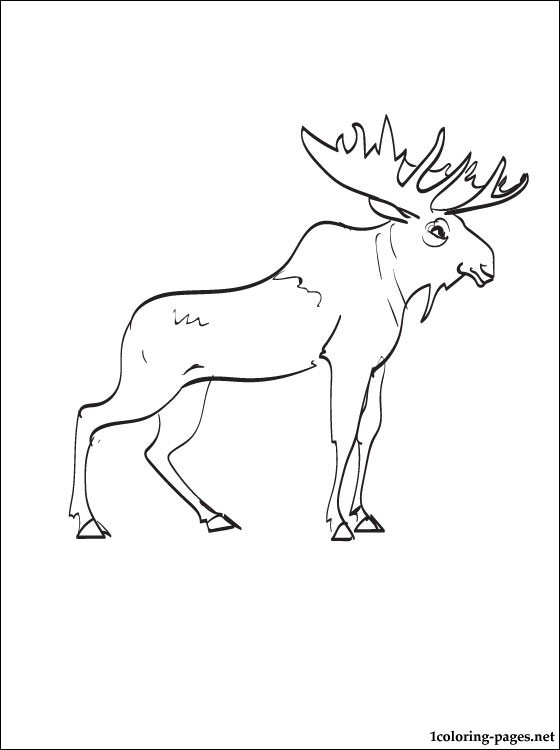 560x750 Moose Coloring Page Coloring Pages