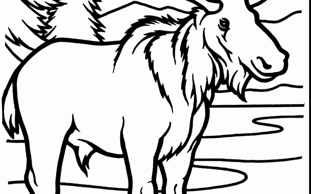 1280x800 Two Moose Deers Coloring Page Free Printable Pages Animals Baby