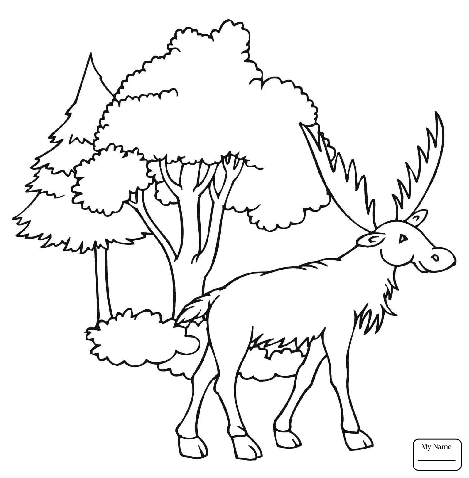 1530x1559 Free Printable Moose Coloring Pages For Kids Animals Face Page